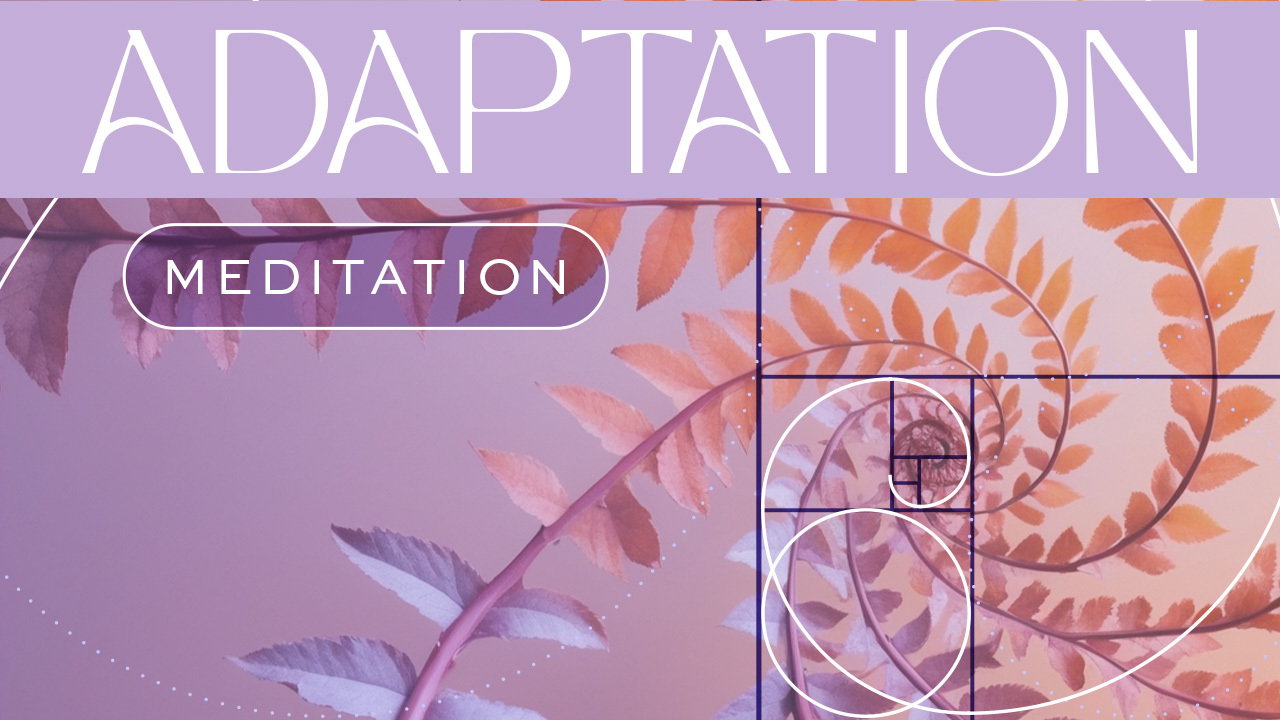 Adaptation Meditation