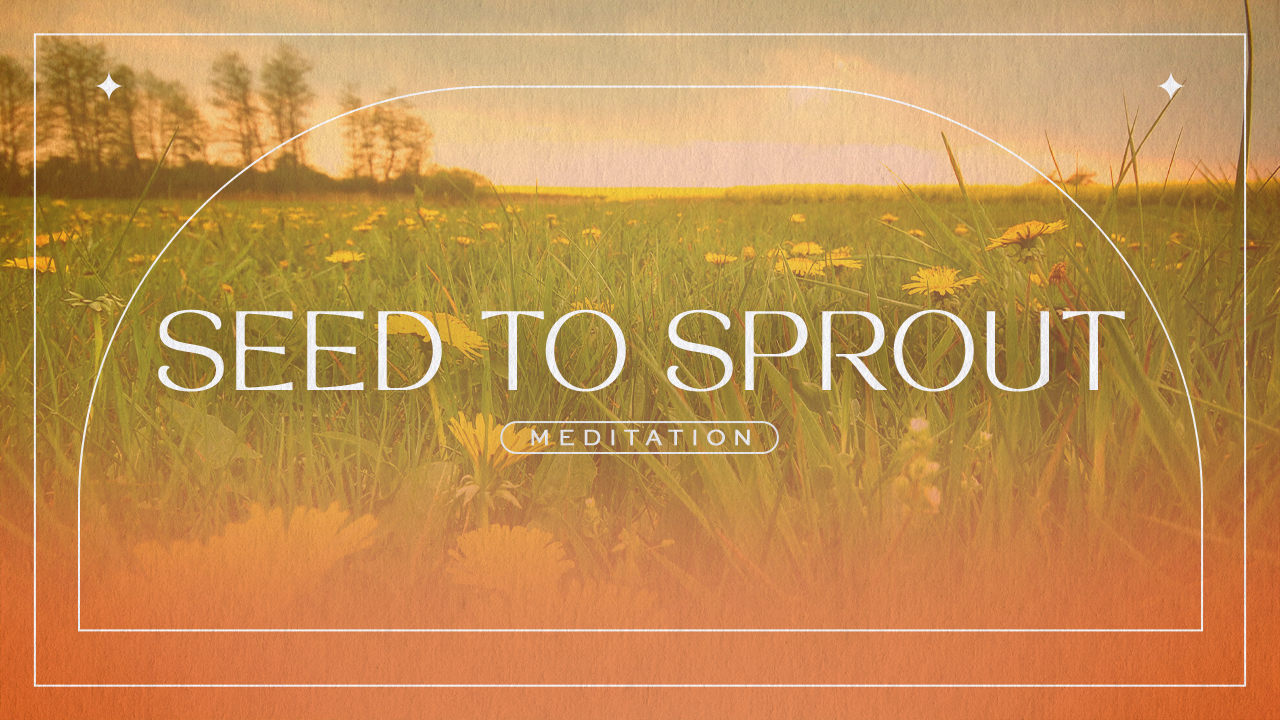 Seed to Sprout Meditation