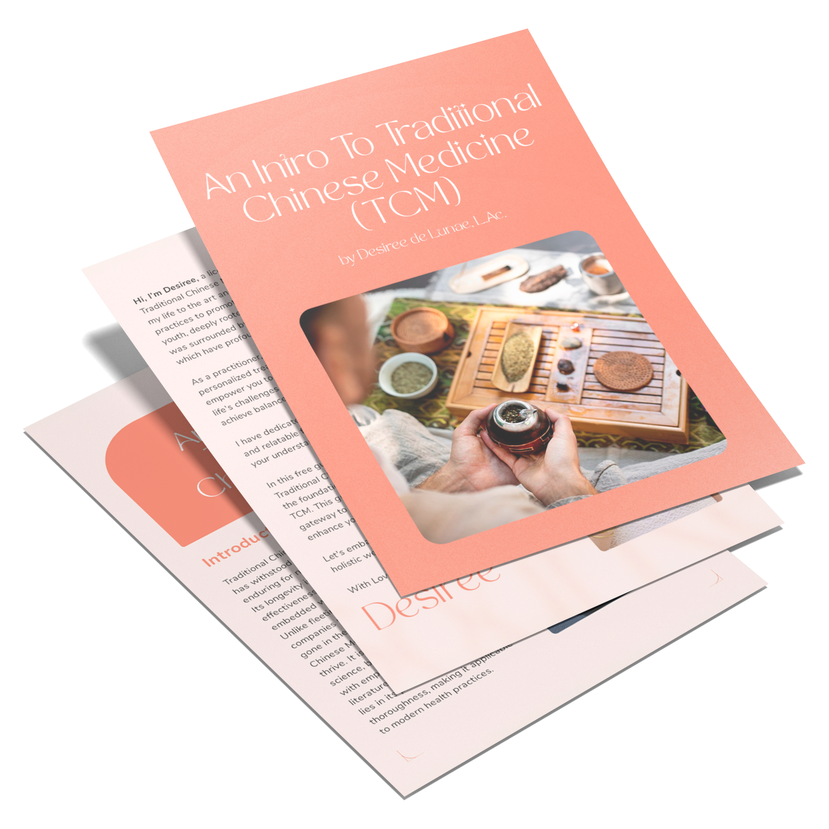 An Intro To Traditional Chinese Medicine — free guide